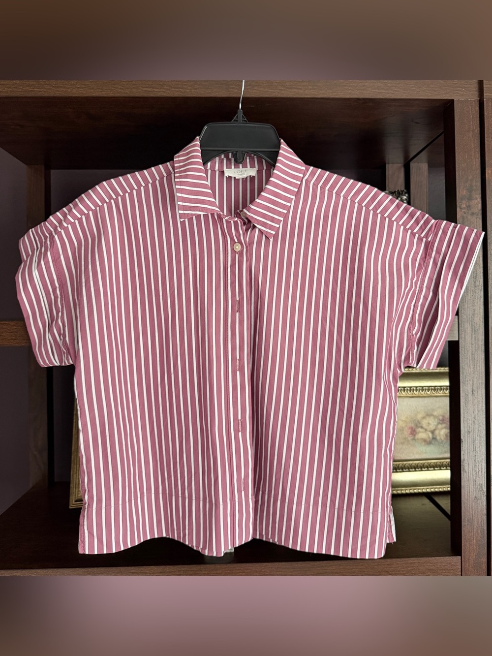 LOFT Rose-Pink and White Stripe Cropped Short-Sleeve Button-Down Shirt